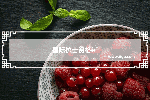 国际护士资格考试指南