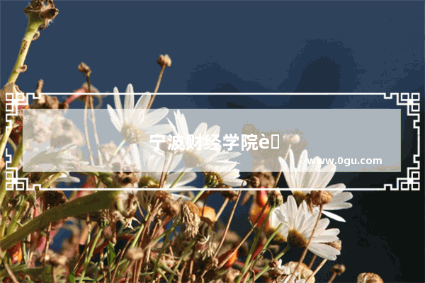 宁波财经学院英语四级考场在哪