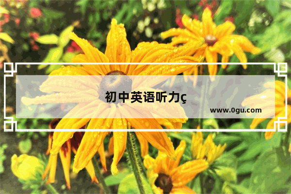 初中英语听力研究的课例有哪些