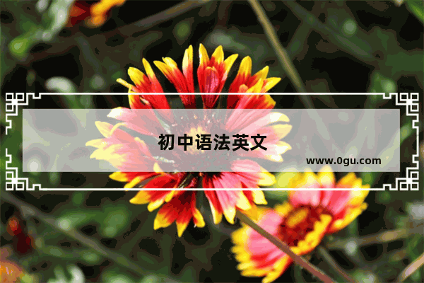 初中语法英文