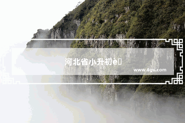 河北省小升初考英语吗