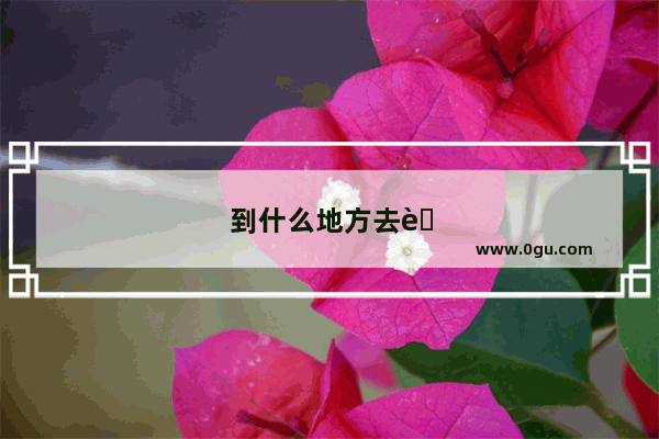 到什么地方去考英语四级比较好