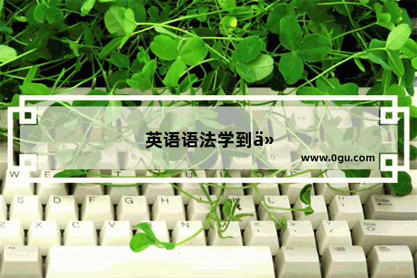 英语语法学到什么程度能看文章