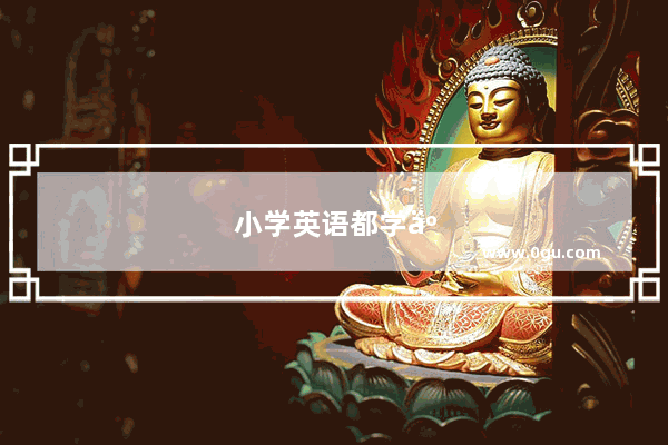 小学英语都学些什么知识