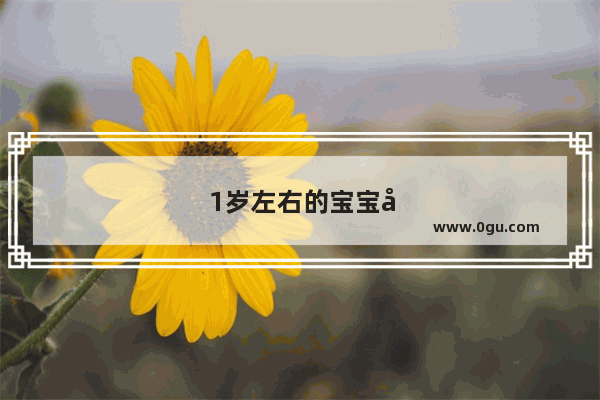 1岁左右的宝宝如何进行双语教学