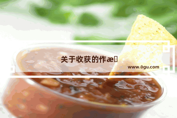 关于收获的作文英语作文高中