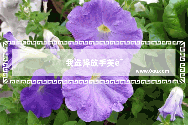 我选择放手英语怎么说