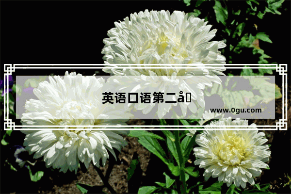 英语口语第二册录音教学视频