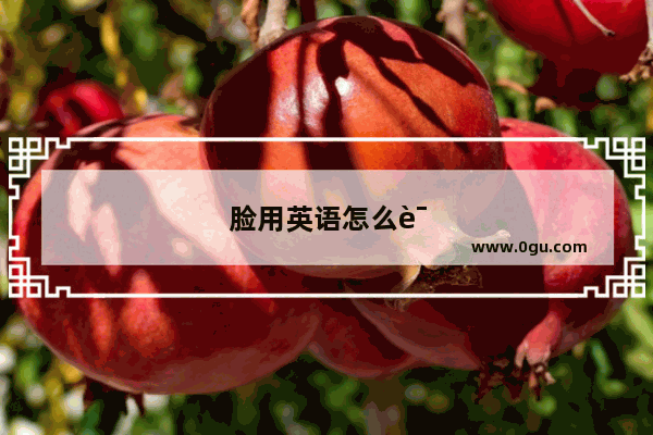 脸用英语怎么说呢怎么写