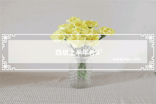 四级上半年什么时候查成绩