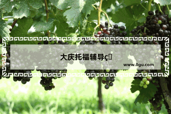 大庆托福辅导班
