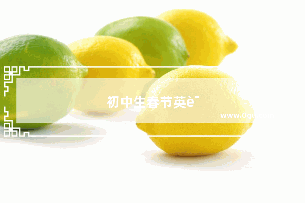 初中生春节英语小报资料