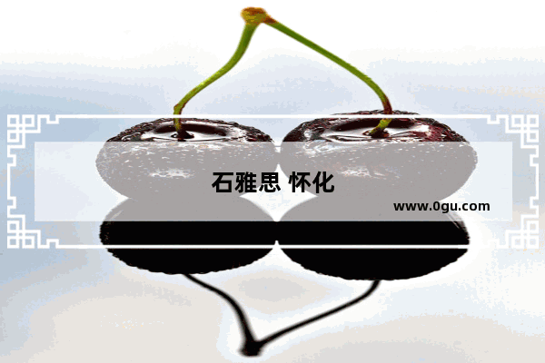 石雅思 怀化