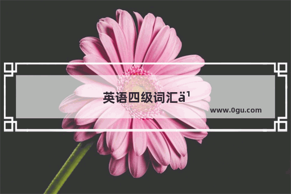英语四级词汇书哪本好