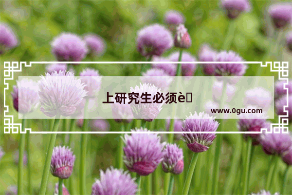 上研究生必须考英语四级吗知乎