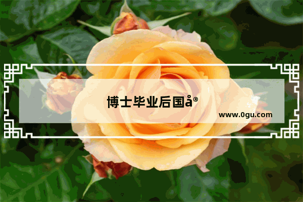 博士毕业后国家待遇2020