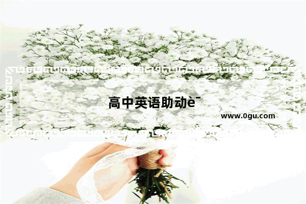 高中英语助动词