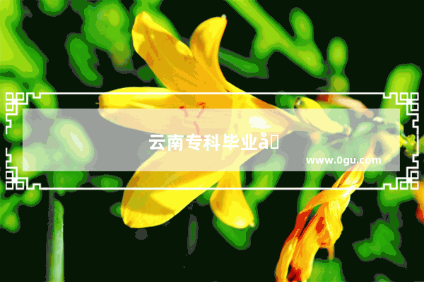 云南专科毕业可以教小学吗