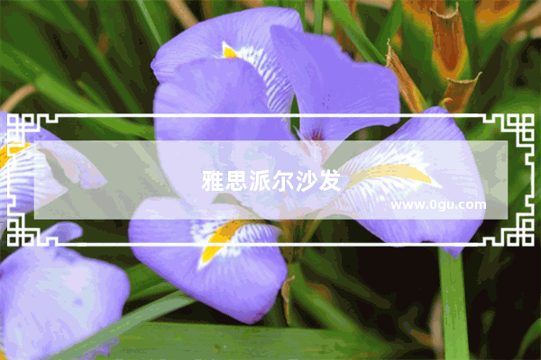 雅思派尔沙发
