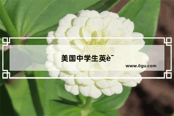 美国中学生英语口语比赛有哪些