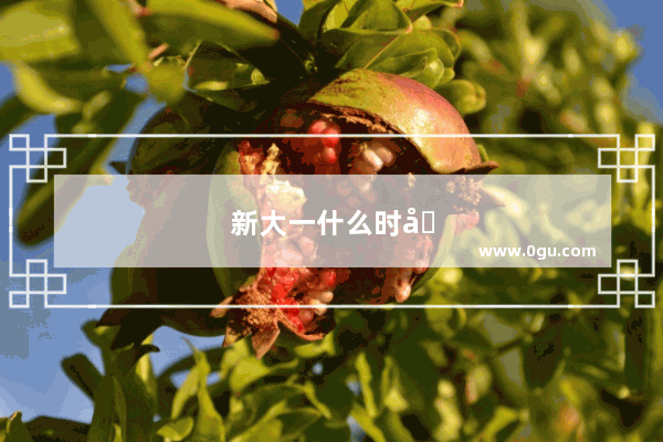 新大一什么时候考英语四级啊