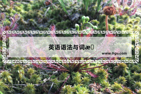 英语语法与词性的关系