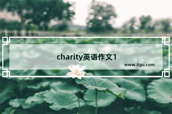 charity英语作文150