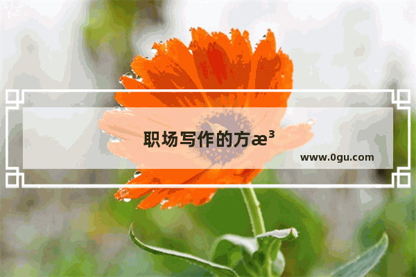职场写作的方法与技巧
