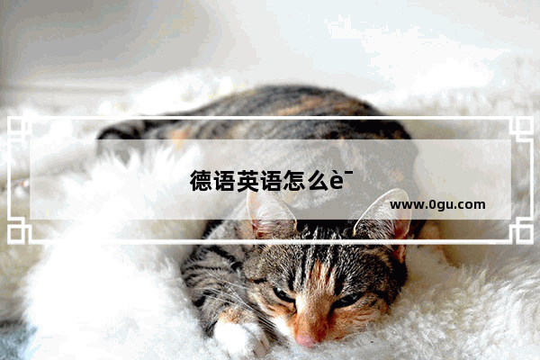 德语英语怎么说?