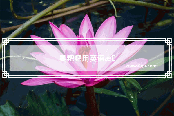 臭粑粑用英语怎么说写