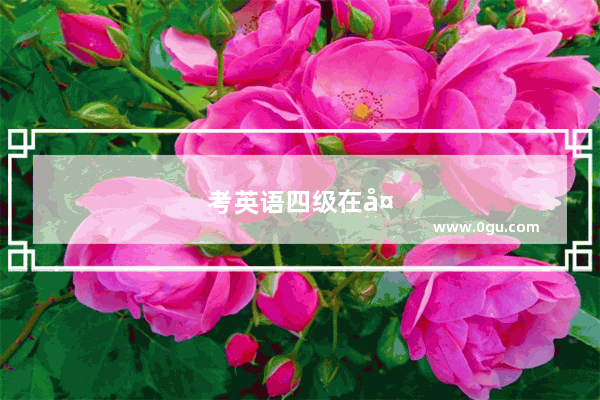 考英语四级在大学哪时开考的