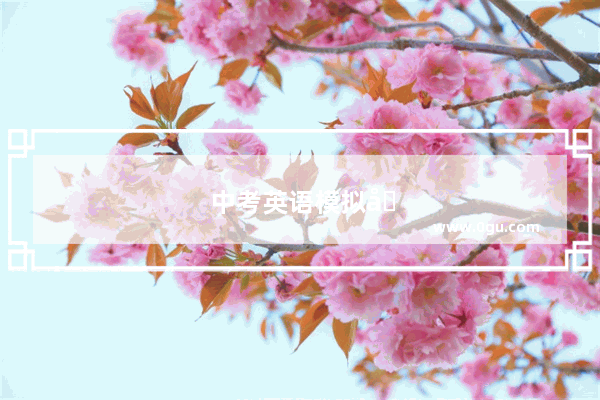 中考英语模拟卷