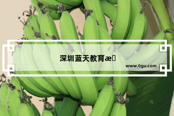 深圳蓝天教育怎么样