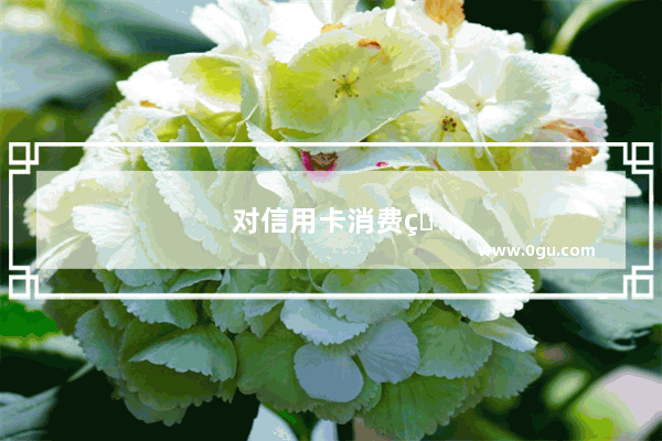 对信用卡消费的看法英语作文