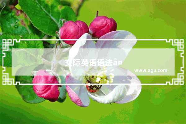 交际英语语法大全图片