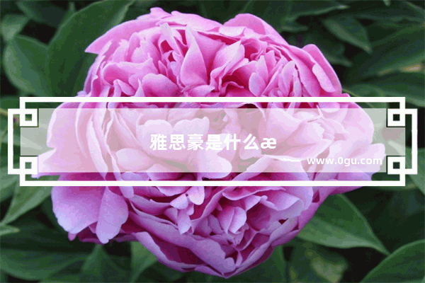 雅思豪是什么样的化妆品品牌