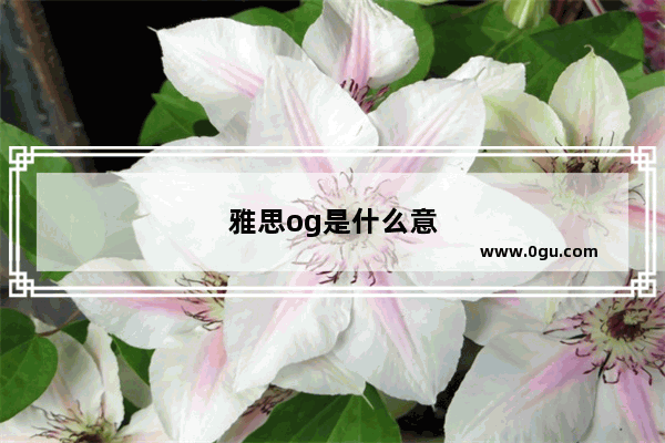 雅思og是什么意思