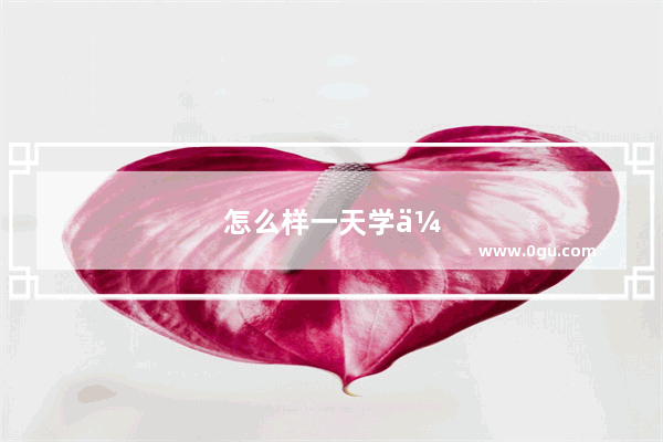 怎么样一天学会英语四级呢