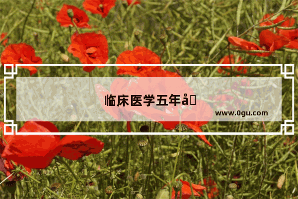 临床医学五年制本科 将来有考研打算 四六级已经过了 还有必要考雅思托福吗