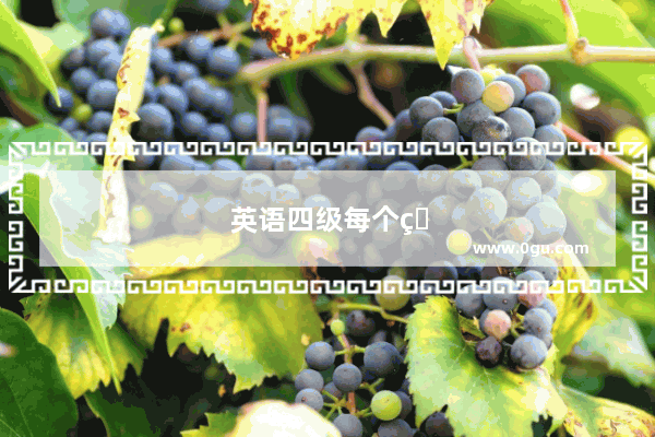 英语四级每个省评分一样吗多少分