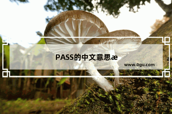 PASS的中文意思是通过还是不通过