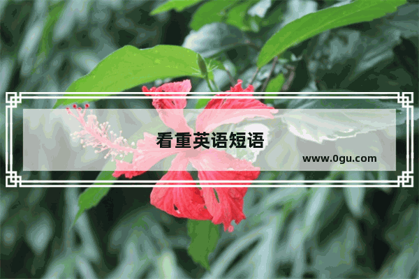 看重英语短语