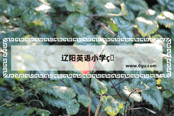 辽阳英语小学生作文大赛