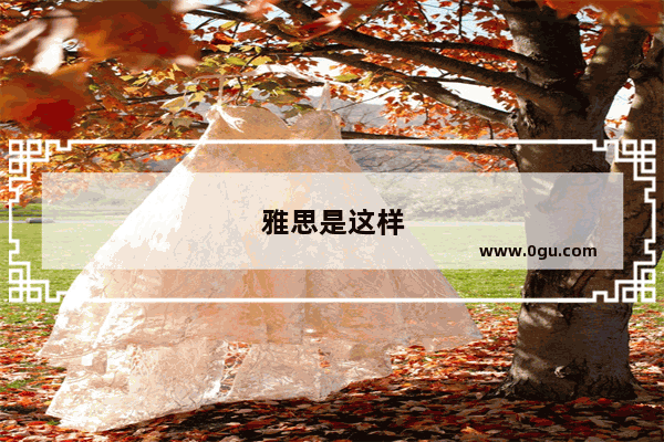 雅思是这样