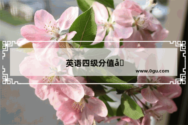 英语四级分值听力试听