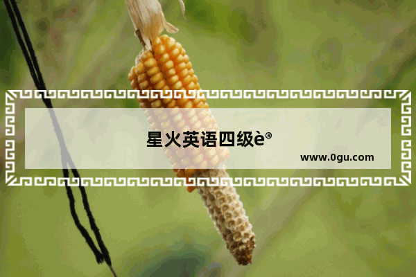 星火英语四级记法 高效备考 轻松过级