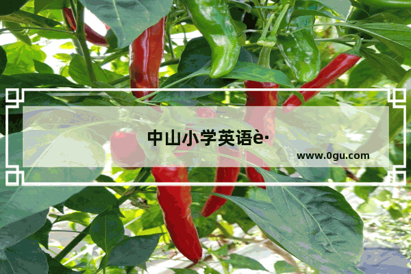 中山小学英语跟读的重要性