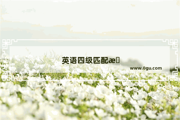 英语四级匹配攻略