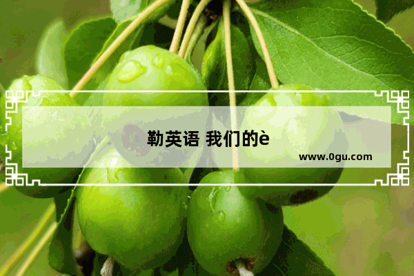 勒英语 我们的英语教育需要一次深刻的反思