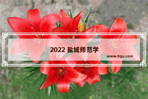 2022 盐城师范学位英语考试 备考攻略与技巧